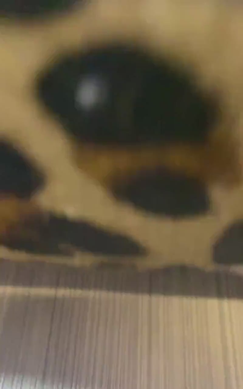 Leopard Print Cowhide Pillow Cover: Handmade Patchwork Cushion